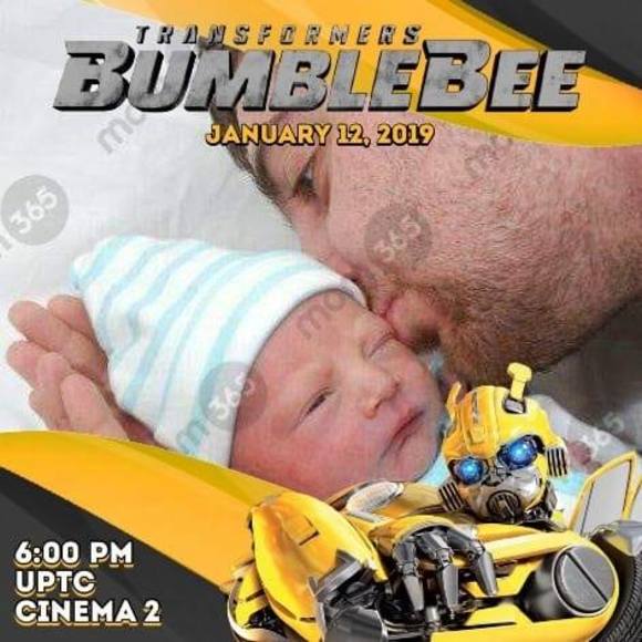 matthewwebb769